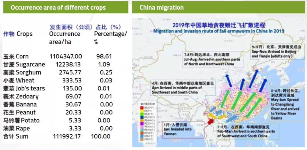 8.jpg 8.jpg