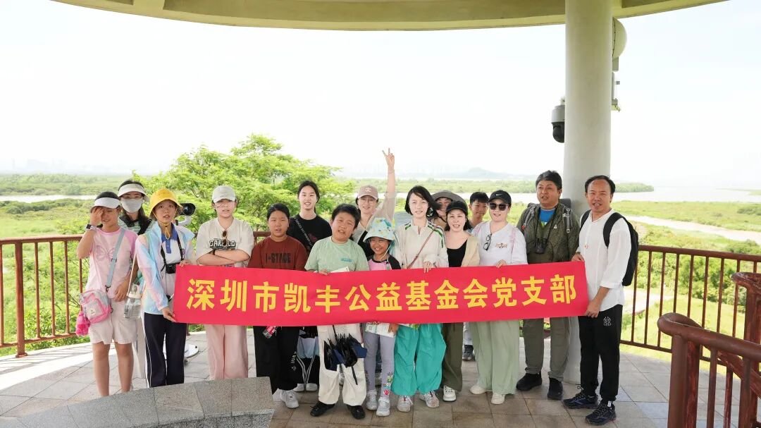 基金会党建动态 | 探秘红树林，共筑绿色梦 —— “贯彻科学发展观，探秘福田红树林”活动圆满结束